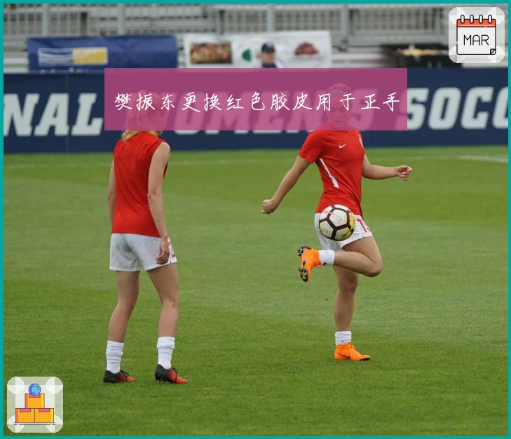 樊振东更换红色胶皮用于正手